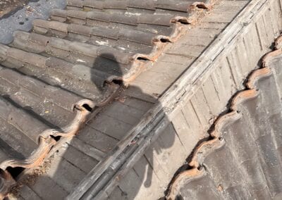 Nokvorst renovatie